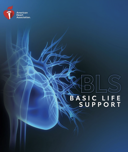 AHA BLS PROVIDER E BOOK